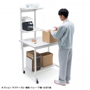 RAC-WDK10070Wの画像